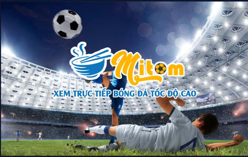 Ưu điểm chỉ có ở thế giới Mitom 