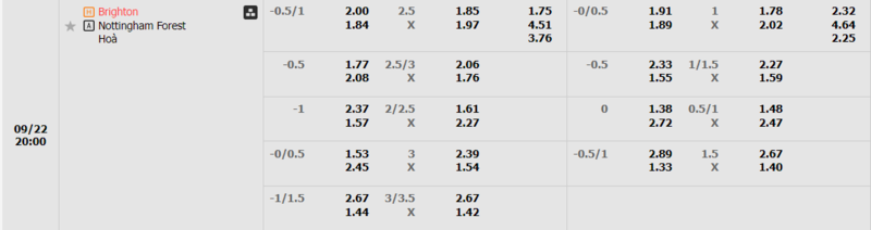 Brighton vs Nottingham