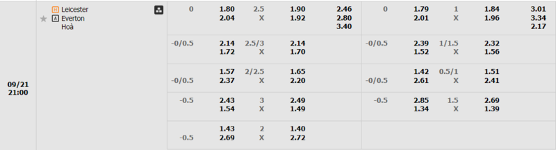 Leicester vs Everton