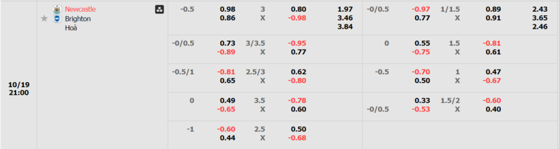 Newcastle vs Brighton